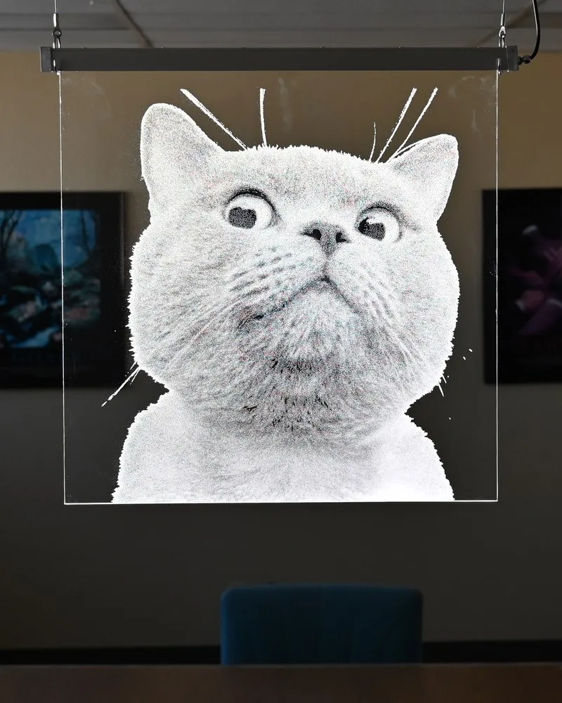 Clear CoreGLO panel hanging on cables from the ceiling of a conference room, lit to show a glowing portrait of a wide-eyed cat